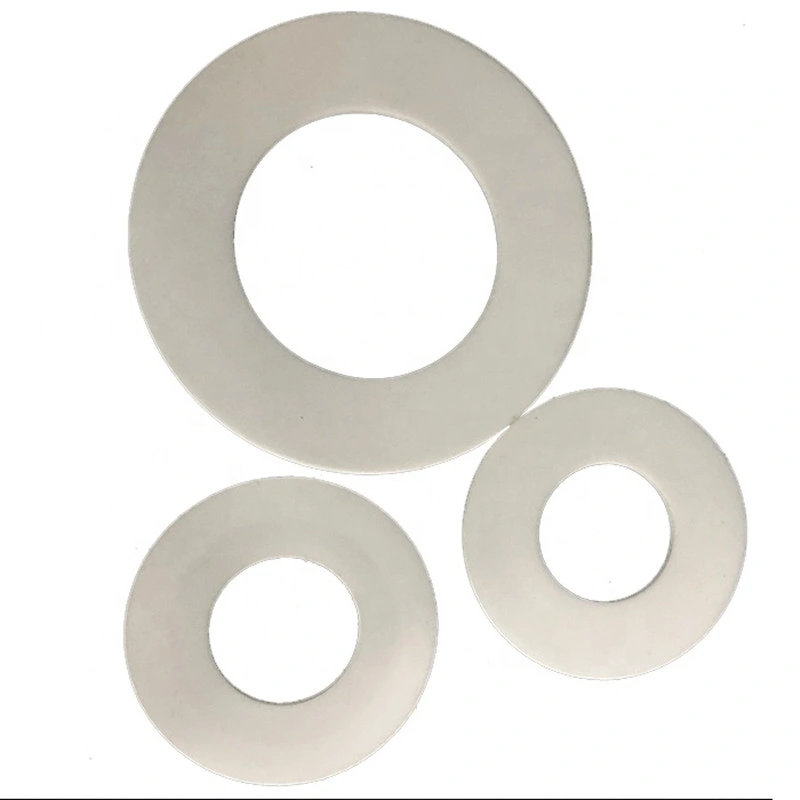 Factory Manufacture Flat Ring /PTFE Gasket